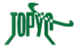 Торус