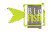 Bigfish